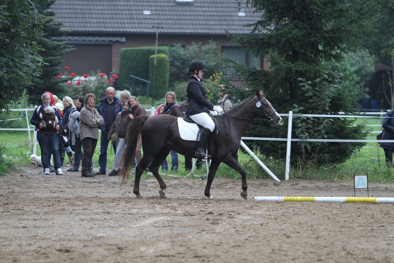 Bild 455 - WBO-Turnier am 18.9.11